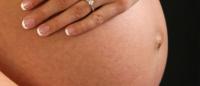 Pregnant Belly Pregnant Belly